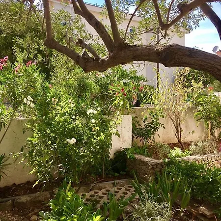 Appartement In With Seaview, Terrace, Wifi