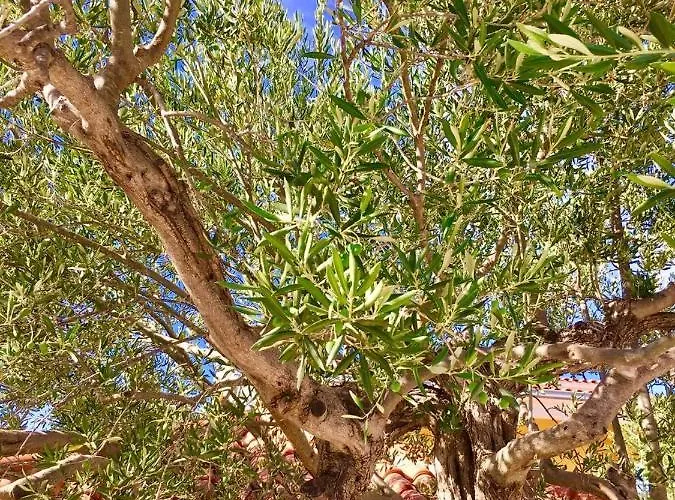 In With Seaview, Terrace, Wifi *