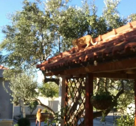 דירה In With Seaview, Terrace, Wifi