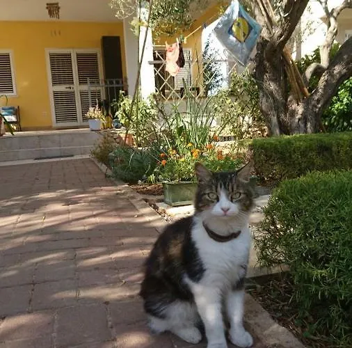 דירה In With Seaview, Terrace, Wifi *